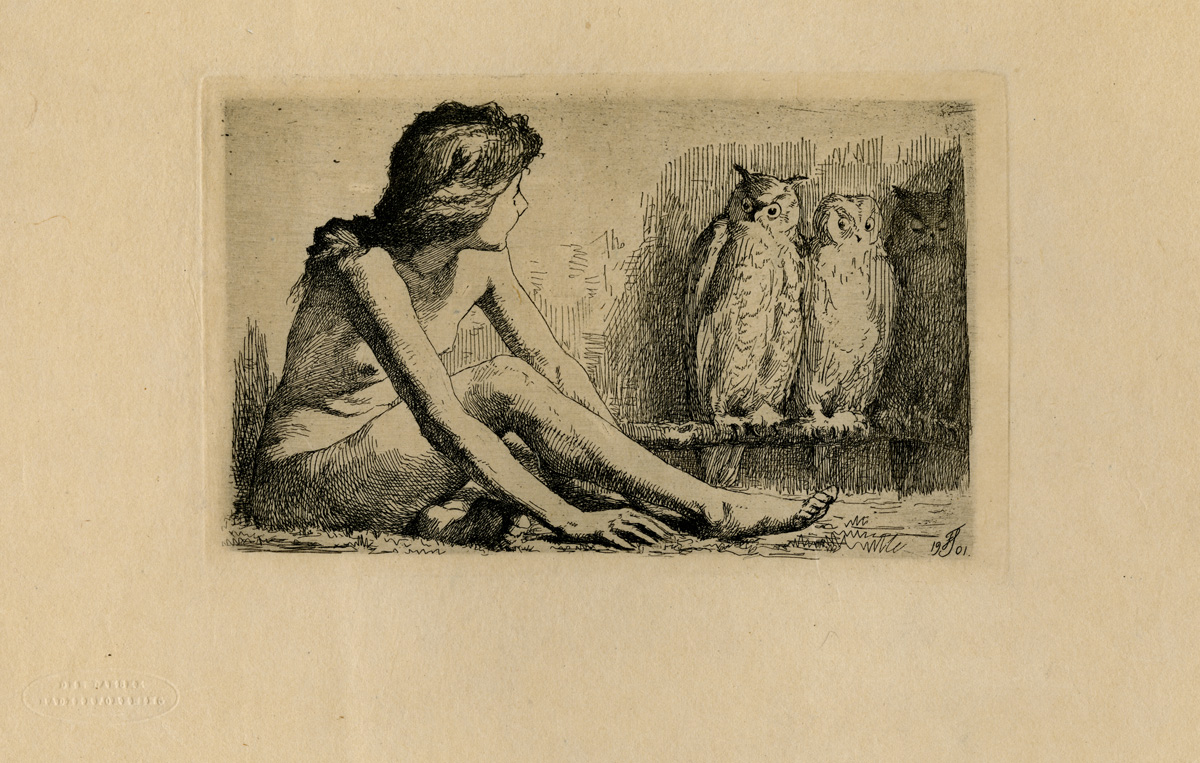 La Salle University Art Museum Collections - The Girl and the Owls